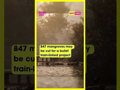 Plea to cut 847 mangrove trees